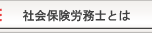 社会保険労務士とは